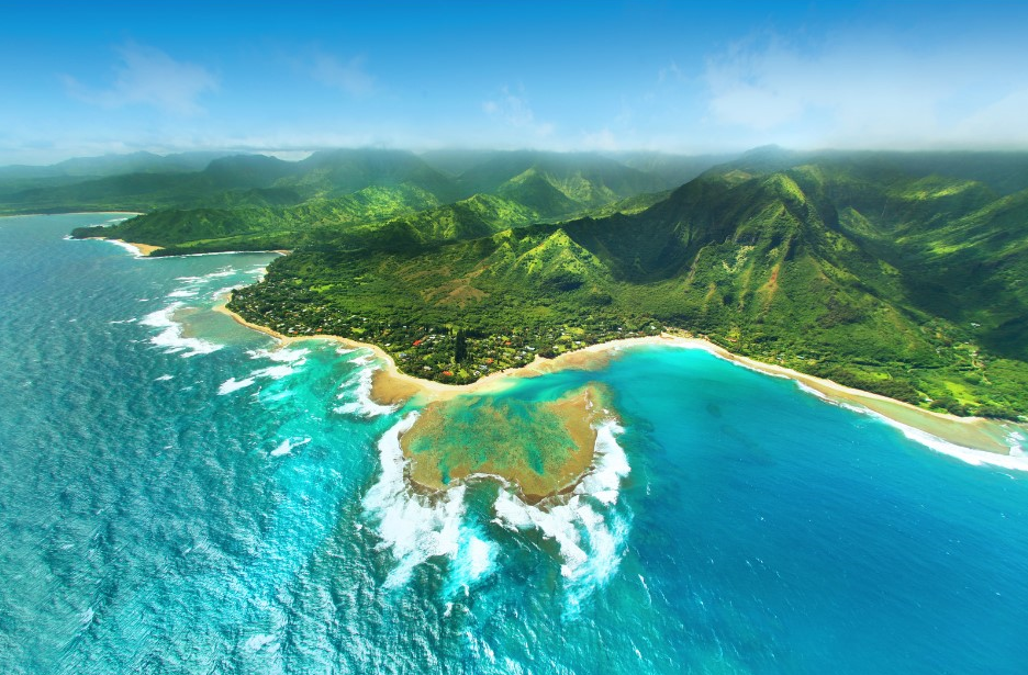 Hawaii spirulina foto